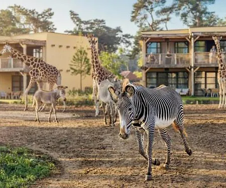 The Bright Side Brabant * Molenschot