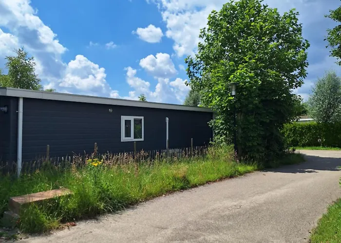 Chalet The Bright Side Brabant Molenschot