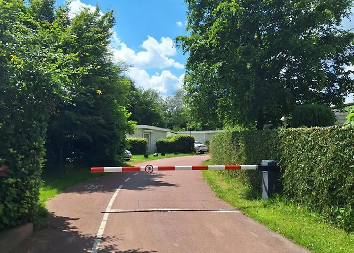 The Bright Side Brabant Molenschot