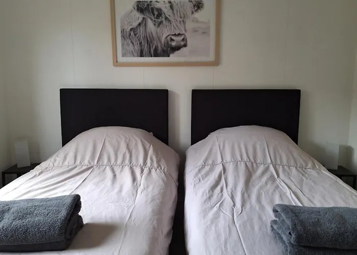 The Bright Side Brabant Molenschot